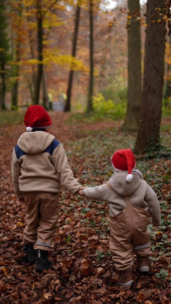 christmas, christmas hats, forest, children, siblings, two little boys, hand in hand, red white, christmas helpers, merry christmas, childhood, beautiful wallpaper, happiness, family, nature, bridge, christmas card, christmas greetings, background, cellphone wallpaper, background image, brothers, love, imp, magic